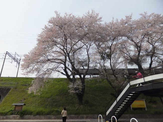 ここでは1時間の散策時間がありましたが、かなり余ってしまいました。<br />すぐそばの駅まで行きましたが、お店らしきものはありませんでした。<br />後から来たツアーバスが先に出発したのを見ると、1時間の滞在は少し長いように感じました。