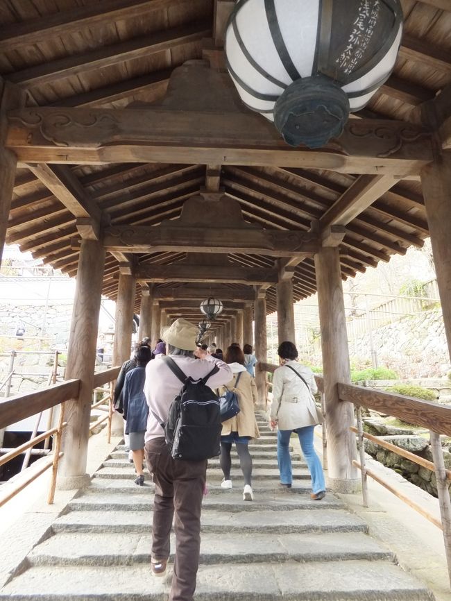 登廊<br />全長約200ｍの屋根付きの階段で399の石段が連なるそうです。<br />一段一段は低いのですが、結構きついです。