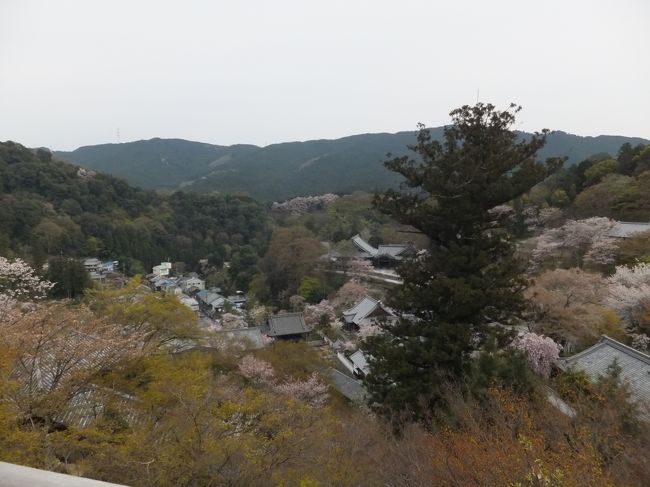 外舞台からの眺め。<br />曇っているのが残念ですが、静かで落ちつく景色です。