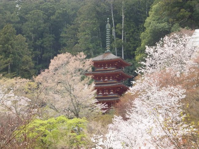 昭和29年に建てられた五十塔。<br />