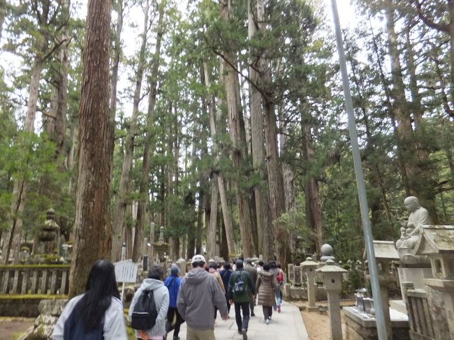 奥之院参道は身分や宗派を超えた供養塔が二十万基以上もあるそうです。<br />戦国武将の古いものから、新しいコーヒーカップ、ロケットなど珍しい形のものもあり驚きました。