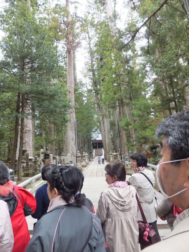 あの奥が弘法大師様が祀られている奥乃院です。<br /><br /><br />お土産を買い、9時頃、吉野山へ向けて早々に出発。<br /><br />高野山は、改めてじっくり訪れてみたいと思いました。