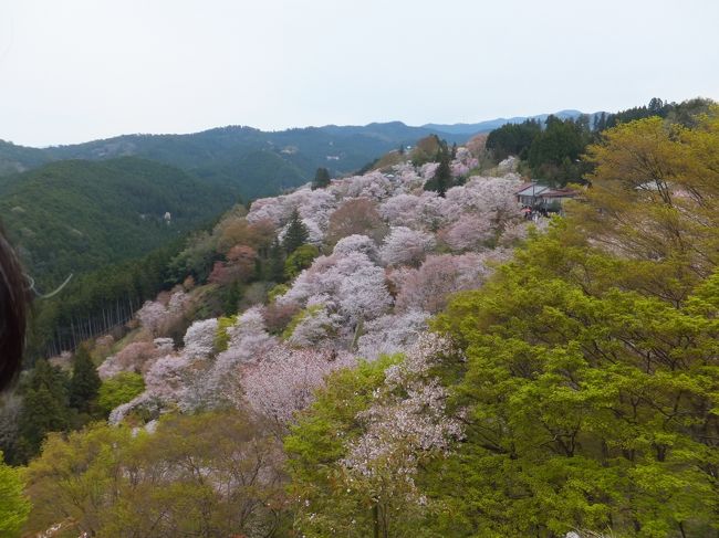 とりあえず、行ける所まで行こうと大急ぎで歩きました。