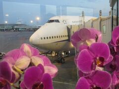 那覇空港に着陸〜♪蒸し暑いです… 

この光景を見ると沖縄に来たなと実感します 
めんそ〜れ！