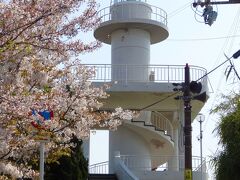 【桜と雑賀崎灯台】
駐車場が灯台の左手にありますが有料です。

最寄りバス停は『雑賀崎』または『雑賀崎遊園』ここから灯台までは1Km弱歩きます。