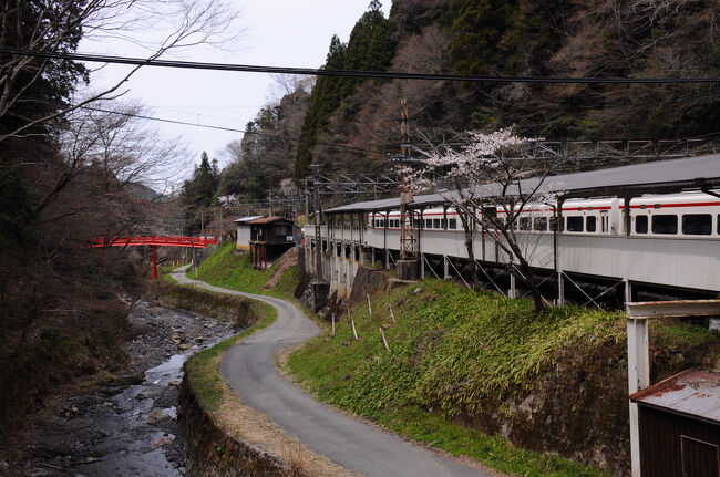 列車は大阪平野を南下し、県境を越えて和歌山県内へと入る。山が迫り、勾配がきつくなってくると、終点の極楽橋駅に到着した。難波駅からは、1時間半足らずの列車の旅だった。ホームに降りると、思ったよりも肌寒かった。