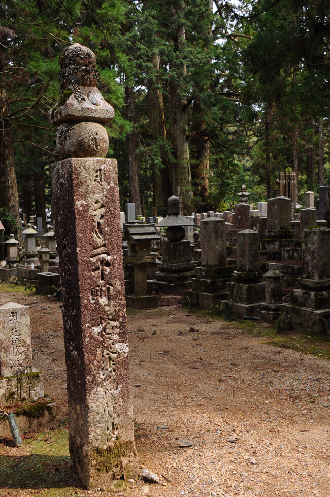 参道沿いには、背の高い石柱がいくつも立っている。案内板を見ると、何とこれが世界遺産だという。信仰の道である高野山の参道の道しるべで、山内周辺に216基あり、一町ごとに立てられているそうだ。