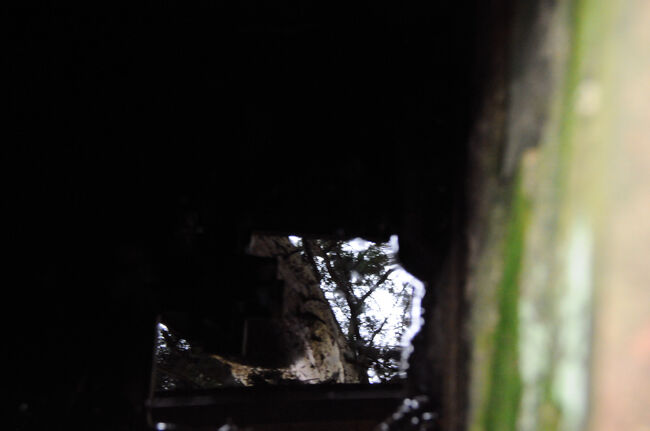 途中に、姿見の井戸と言うものがあった。覗き込んでみると、確かに景色が良く映っていた。