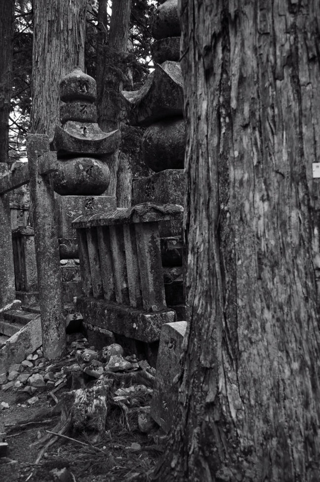 杉木立と苔生した五輪塔などが醸し出す雰囲気は、独特な雰囲気を醸し出している。ここでは、敵同士だった者も一緒に供養されている。国内でも、このような場所は他には無いだろう。