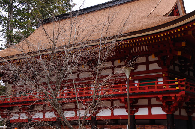 境内を巡っていると、朱塗りの鮮やかな門が見えて来た。持っていた地図には中門跡とあったが、現在再建中のようだった。昭和に再建された鉄筋コンクリートの根本大塔などとは違い、昔ながらの工法で木造で建てられているらしく、すでに風格すら感じられた。