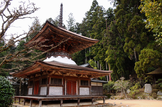 壇上伽藍を散策した後、大門を見に行こうと思ったのだが、ゆっくりし過ぎて時間が余りなくなっていたことに気付き、諦めて近くの金剛三昧院の国宝多宝塔を観に行くことにした。その多宝塔は、北条政子が創建した禅定院を、貞応２年(1223)に金剛三昧院と改めたときに建立したものだそうだ。裏道のさらに奥へ登った場所にあり、高野山で最も古い建物であるにも関わらず、観光客の姿は無かった。