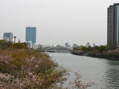 帝国ホテルから桜ノ宮駅へ

途中、橋の上から大阪城がチラリ☆
川を囲むようにソメイヨシノがびっしり！
あいにく散ってたけど、もう少し早ければここもキレイでしょうね〜♪