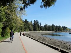 スタンレー公園の敷地内に入りました。
自転車・ローラースケート専用レーンと歩行者専用レーンが分かれているので、走りやすいです。
自転車とローラースケートは反時計回りに公園を一周する決まりになっています。