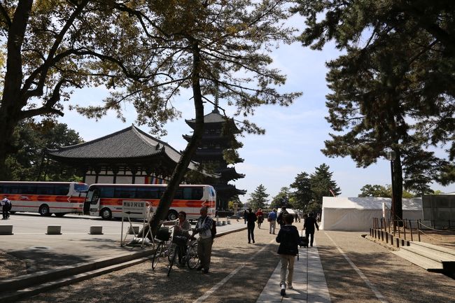 興福寺境内に入りました。<br />今日も観光バスが多数停まっています。