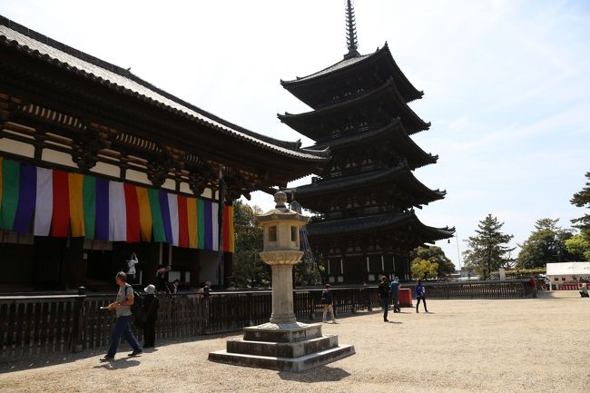 興福寺　東金堂と五重塔。