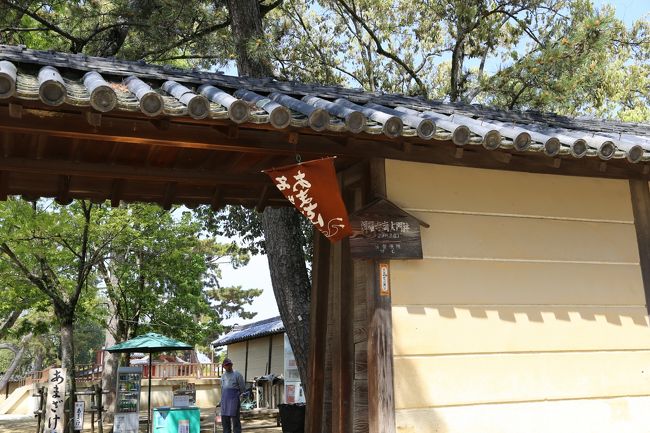 興福寺　あまざけ売りが待っていますが、今日の天気に甘酒は合いません。