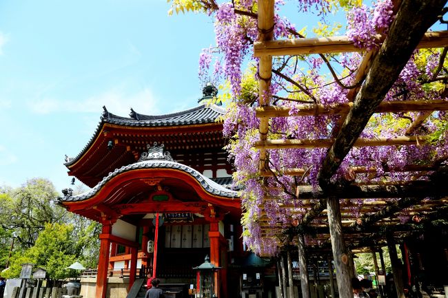 興福寺　南円堂　拝観は裏側からです。<br />拝観料は￥1200ですが、朝日メイト会員は半額の￥600です。