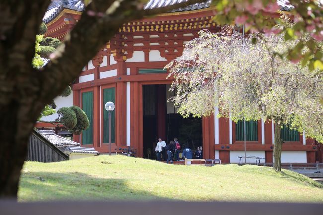 興福寺　遠くから眺めます。