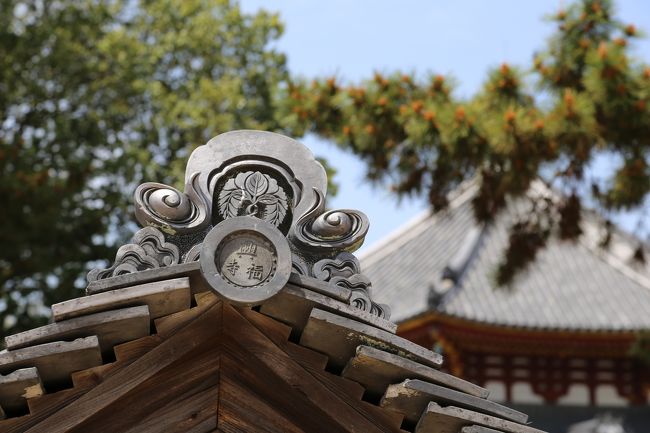 興福寺　塀の上の瓦。