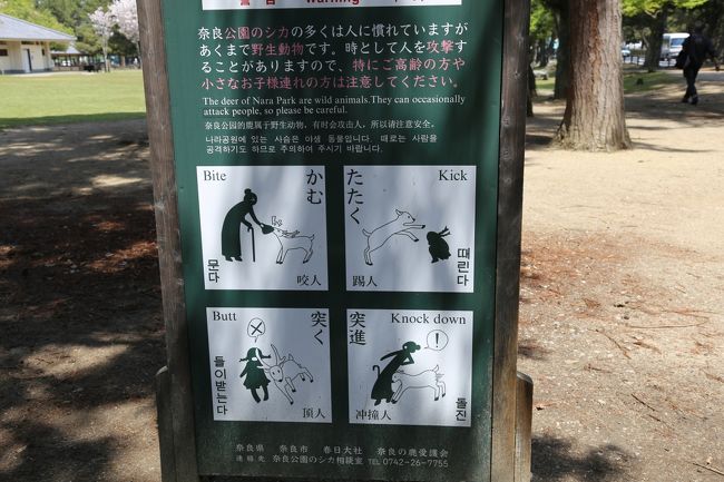 鹿についての注意看板。