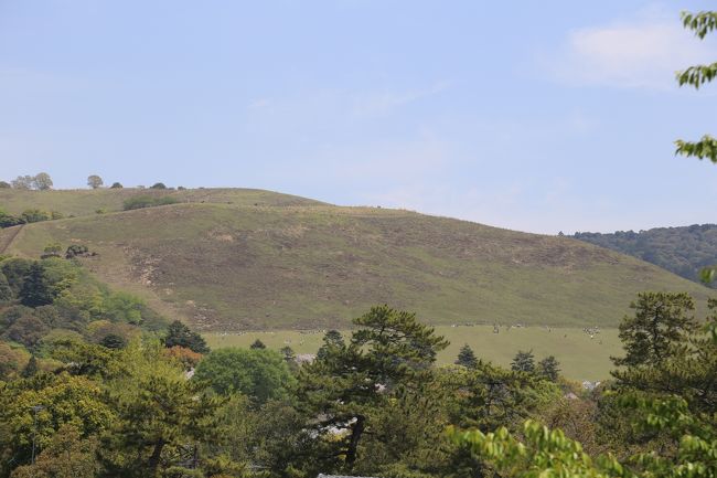 若草山、まだ頂上は開放していません。