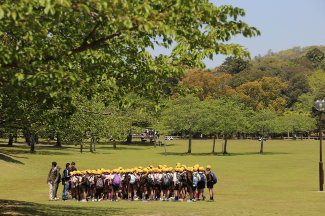 背の順に並んで。