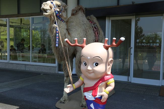 せんと君とラクダ。<br />シルクロード交流館前。