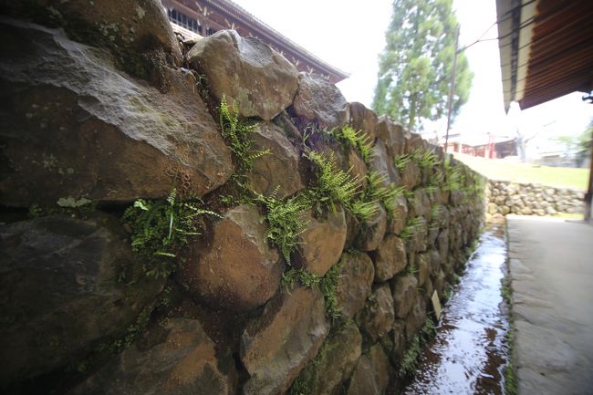 東大寺　二月堂　沢ガニの生息する溝。<br />野生化したアライグマが狙っているそうです。