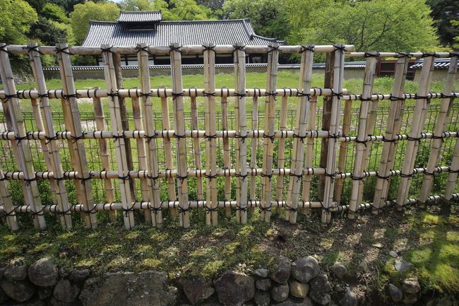 東大寺　竹垣が美しい。