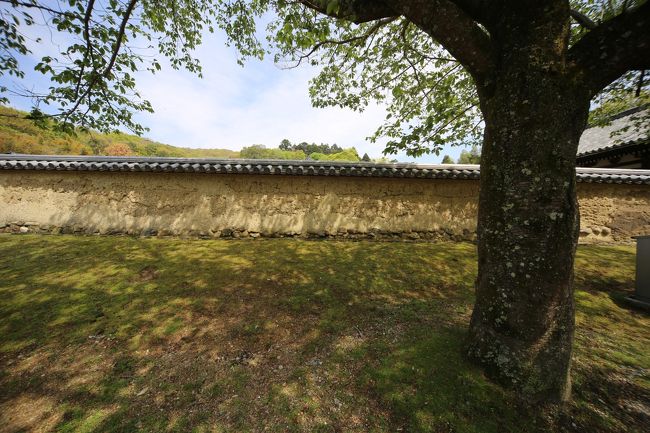 東大寺　土塀に映る木の陰。