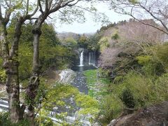 天下の名瀑としてその名を轟かす白糸の滝

この滝は、富士山の雪解け水が、上部の水を通す地層である新富士火山層と下部の水を通さない地層である古富士火山層の境の絶壁から湧き出しています。
高さ20m・幅200ｍの湾曲した絶壁から、大小数百の滝が流れ落ちています。 その姿は白糸の名にふさわしく、幾筋もの絹糸をさらしているようです。
優しく、女性的な美しさで、滝壺近くに立つと、三方が水のアーチとなって幻想的な世界を見せてくれます。 国の名勝及び天然記念物。（平成2年日本の滝百選に選定）
(富士宮市観光協会HPより)

滝の周辺をウロウロ…。
滝つぼ近くまで行きました。