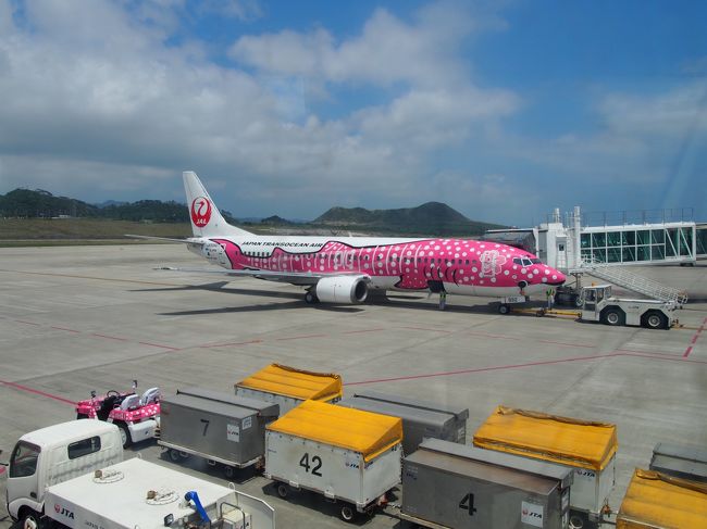 新石垣空港着！<br />私たちの乗った飛行機は普通の塗装でしたが、<br />隣にピンクのさくらジンベイが♪