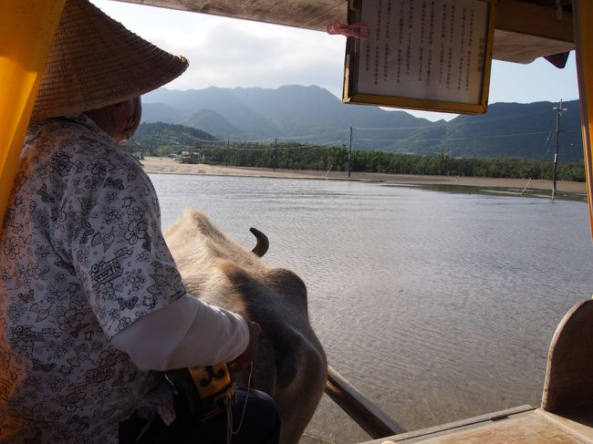 三線常備。<br />ちゃんと三線置き場がありました（笑）