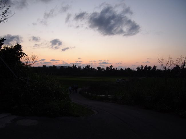 八重山ホタルの鑑賞に先輩に連れていっていただきました。<br />写真には撮れませんでしたが、すごい数のホタテが一斉に光出しとても幻想的です。<br />日没から40分ほどしか光らないので、他にツアーで来た人もたくさん来ておりすごい人でしたが……