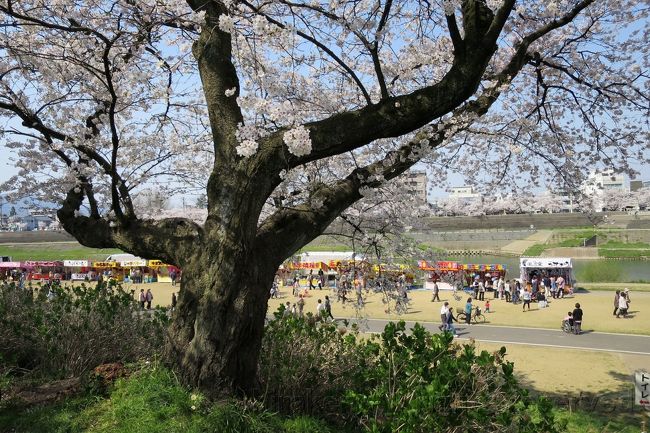 足羽川堤防からの全体雰囲気