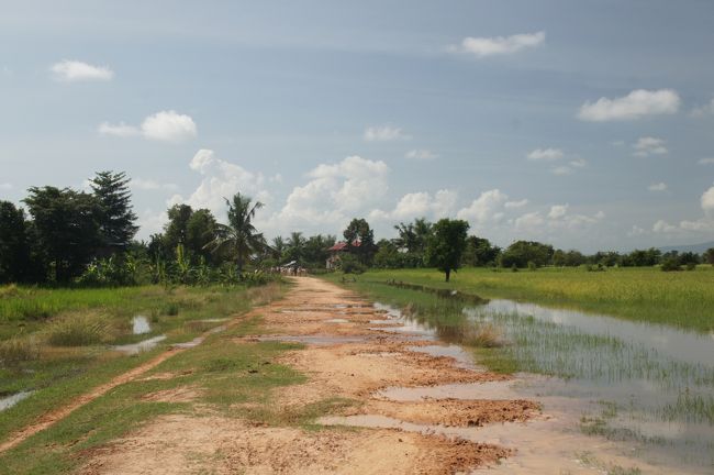 車は入れないので徒歩です。1h毎日歩きます。<br />ホントは道があるんですが、洪水で進入不可。<br />膝か上まで水につかって歩きます。そんな状況で写真は撮れず。<br /><br />見て分かる通り、電信柱が見当たりません。<br />民家には電気はきていないんでしょうね。<br />ただ、iPhoneは電波をしっかり掴んでいます。<br />どこにいてもつながっているって凄いなぁ。<br /><br />あっ、向こうから牛が来ています。