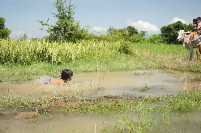 置いて行かないで！と訴える。