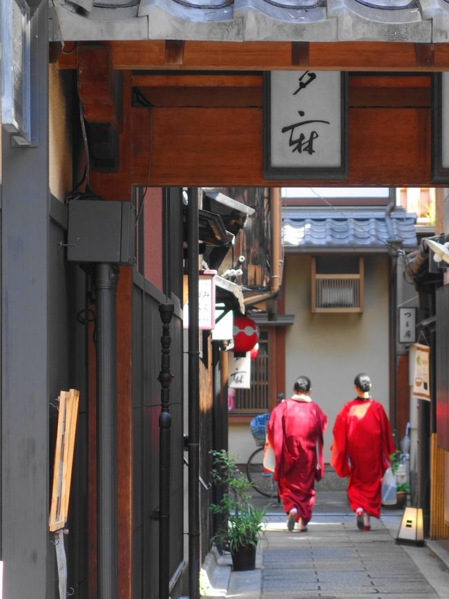京都 花街巡り 桜と艶を競う 芸舞妓の春 4 完結 2日目後半 祇園甲部 都をどり編 東山 祇園 北白川 京都 の旅行記 ブログ By Aya Photripさん フォートラベル 京都 花街巡り 桜と艶を競う 芸舞妓の春 4 完結 2日目後半 祇園甲部 都をどり編 東山 祇園 北白川 京都 の旅行記 ブログ By Aya Photripさん フォートラベル