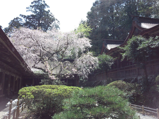 お経を読まれてました。