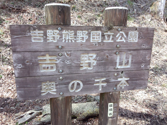 お昼はお弁当を食べ、また歩き始めます。