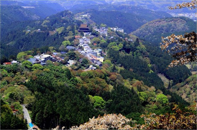 私が見たかったのは一面がピンクの山‥‥仕方ない。<br /><br />吉野駅まで歩いて戻り、近鉄特急で吉野駅から大阪阿部野橋まで帰りました。帰りも喫煙席で。