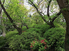 古墳らしい亀塚公園を通って、
再び下って御田八幡神社へ。  