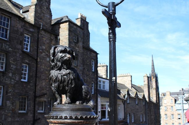 一通り見終えると11時過ぎ。しばし散策ののちにボビーに再開。