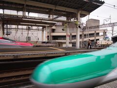 1時間ちょっとで大宮駅に到着!　やっぱり新幹線は速いね!

ちょっとやりたいことがあったので、すぐには帰らず、大宮駅の新幹線ホームで待機。　特別、電車に興味のない友達までつき合わせちゃってゴメンね…(苦笑)。　メインイベント(笑)までは、ホームで色々な新幹線を撮影して楽しみます。　すっかり鉄子だ!　新幹線自体、滅多に乗らないので、テンション上がるのよね〜♪