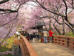 桜雲橋

皆さんが写真を撮られる場所です。
