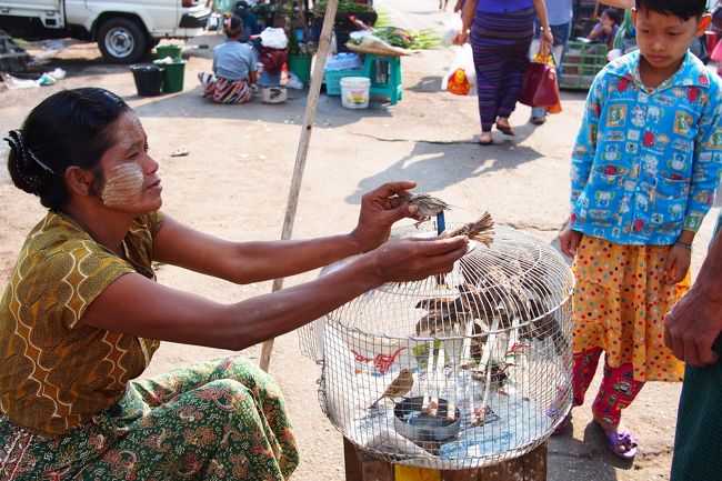 ミャンマーでは，鳥を空に放つと願い事が叶うらしい。<br /><br /><br />