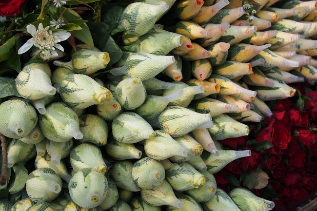 日本のガーベラのように網がかかってる