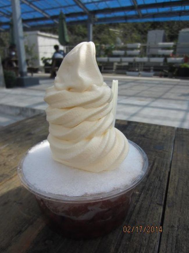 翌日は、ソフトクリーム on the ぜんざいを制す。