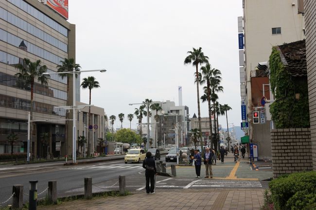 高知県に着いてまず、驚いたのが街中にヤシの木が生えていること。あまり南国のイメージはなかったのでイメージギャップだった。