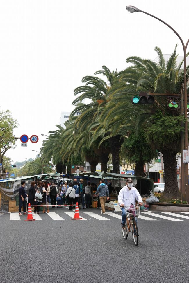 この日はちょうど日曜日で高知名物である、「日曜市」が開かれていた。日曜市とは昔から続く露天市場で、道路1.3Kmを歩行者天国にして市が開かれている。歴史も距離も全国1位らしい。産地直送の野菜や果物、民芸品などが売られていた。見ているだけでも面白い。自分は小夏となぜか古銭を購入。